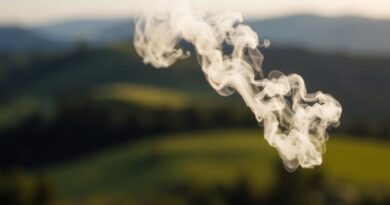 what is bbl smell mean